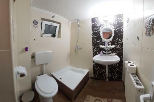 Hostal Vila Trei Brazi