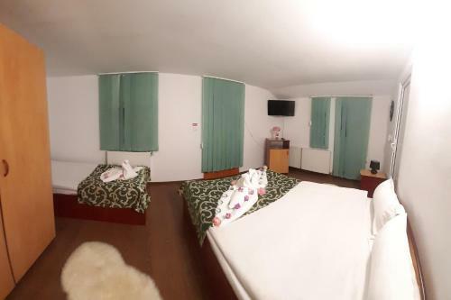 Hostal Vila Trei Brazi