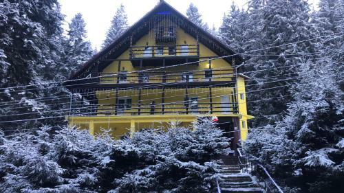 Hostal Vila Trei Brazi