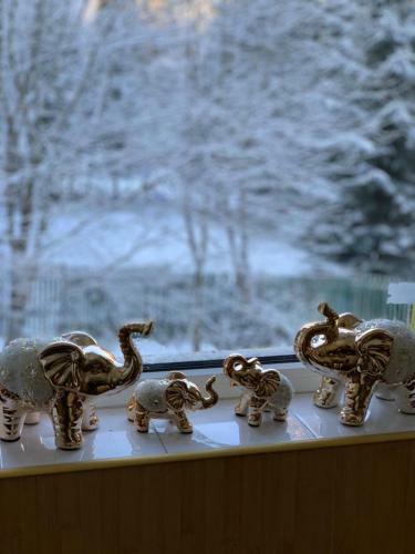 Hostal Vila Trei Brazi