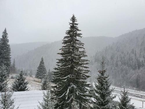 Apartament Complex Rila Predeal