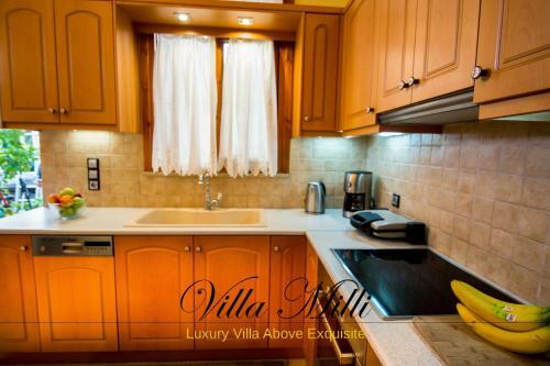 Villa Milli