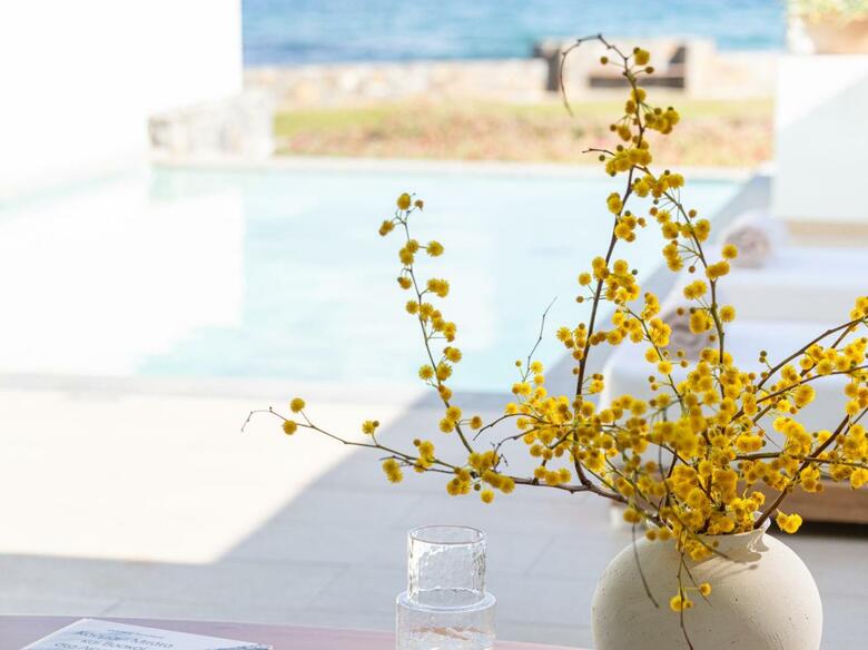 Hotel Amirandes, Grecotel Exclusive Resort
