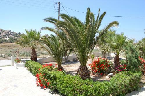 Coralli Beach Apartments