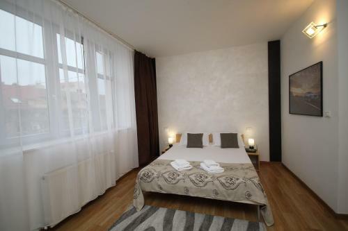 Classic Apartment Timisoara