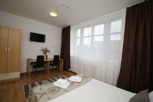 Classic Apartment Timisoara