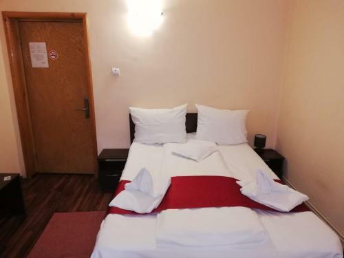 Hotel Casa Domneasca