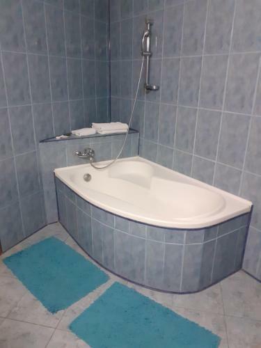 Hotel Casa Domneasca