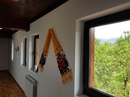 Hostal Piatra Soimului