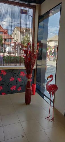 Hostal Vila Paun