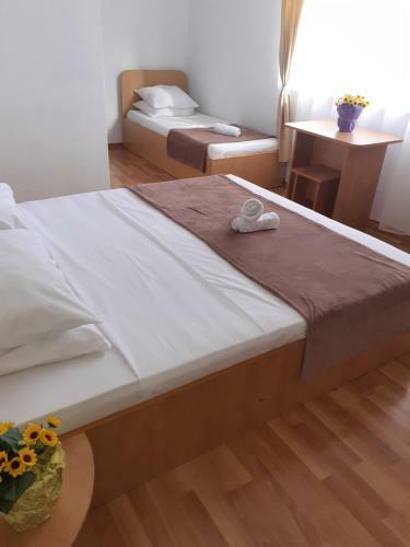 Hostal Vila Raysa Si Andrei Costinesti