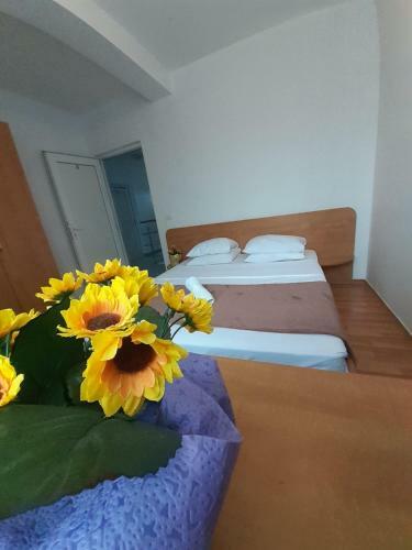 Hostal Vila Raysa Si Andrei Costinesti