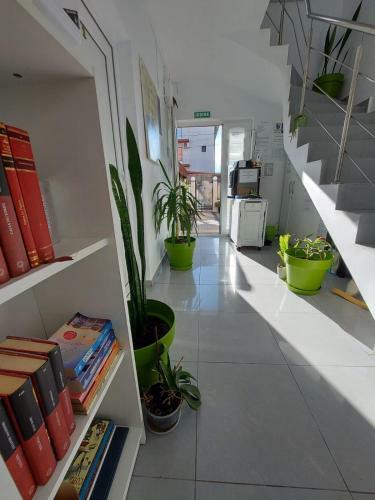 Hostal Vila Raysa Si Andrei Costinesti