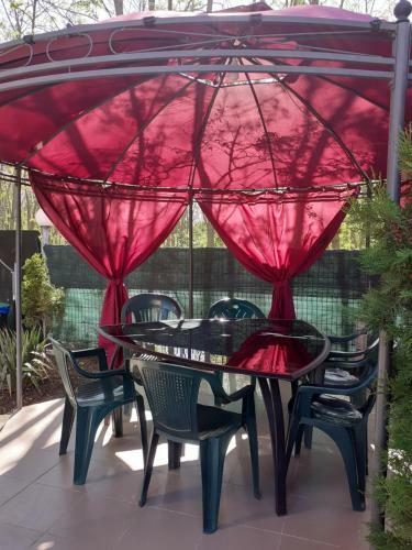 Hostal Vila Raysa Si Andrei Costinesti