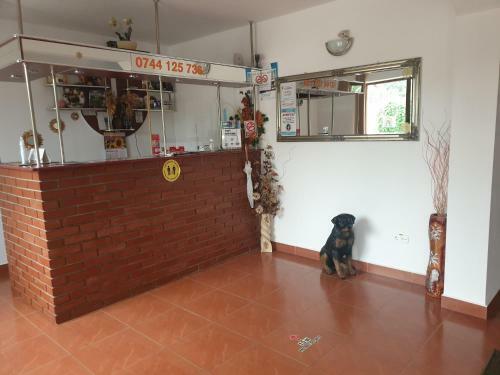 Hostal Pensiunea Ama