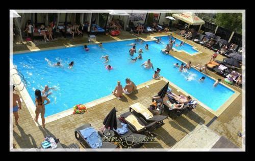 Hotel Campus Caffe Mansion