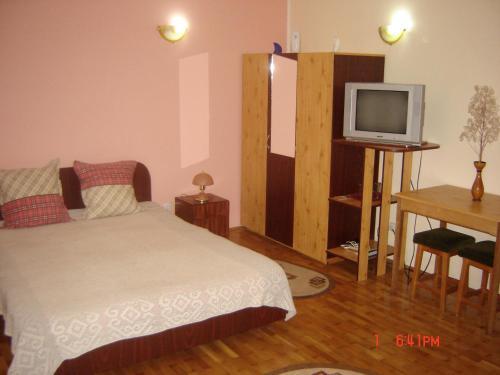 Hostal Pensiunea Nicky