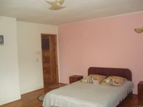 Hostal Pensiunea Nicky
