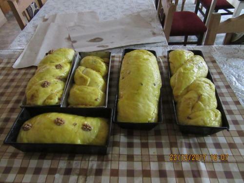 Hostal Pensiunea Nicky