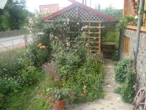 Hostal Pensiunea Nicky