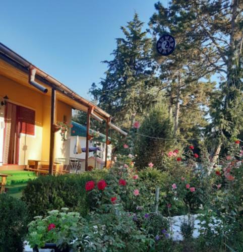 Hostal Casa Maria
