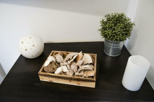 Farmhouse Apartment