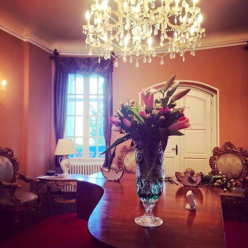 Hotel Schulhoff, Castle And Winery