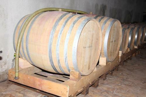 Hotel Schulhoff, Castle And Winery