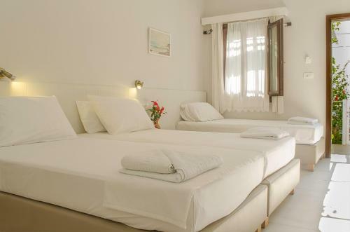 Hostal Kalypso Studios & Rooms