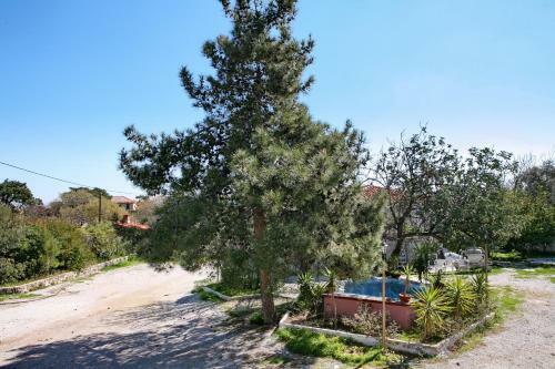 Apartamento Paradisos Studios