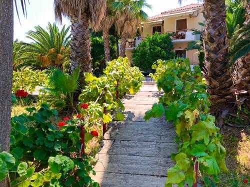Apartamento Ionos