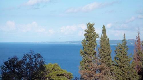 Apartamento Belvedere Zakynthos Studios