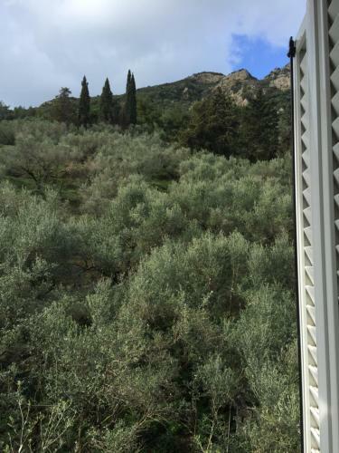 Apartamento Belvedere Zakynthos Studios