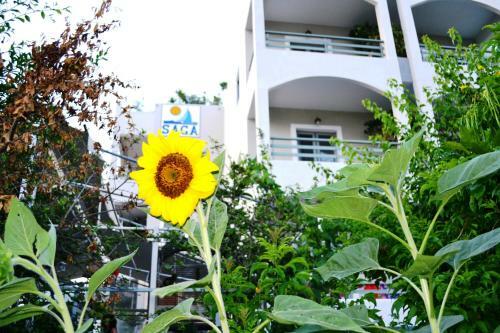 Aparthotel Saga Hotel