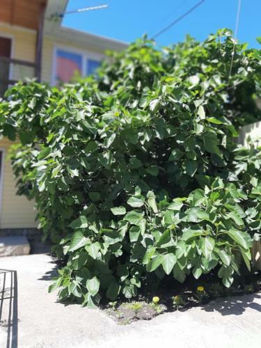 Hotel ????? �????????�