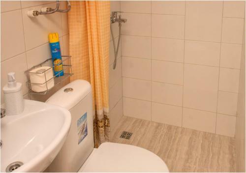 Posada Druzhba Mini Hotel