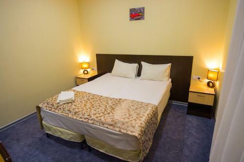 Posada Mini-otel Nash Lebedyan