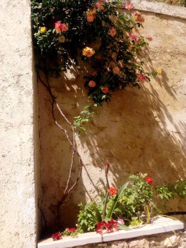 Apartamento Felicita - Balis