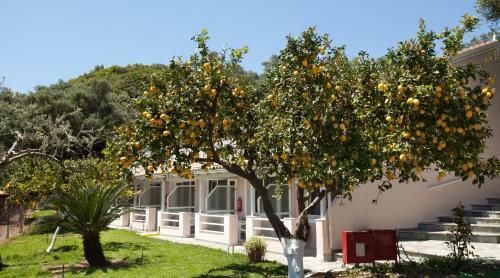 Odysseus Hotel