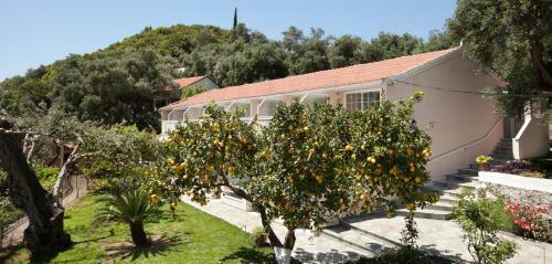 Odysseus Hotel