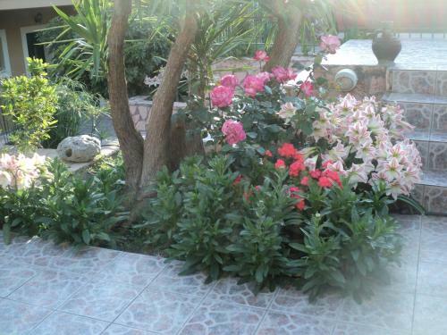 Anastasis Apartments