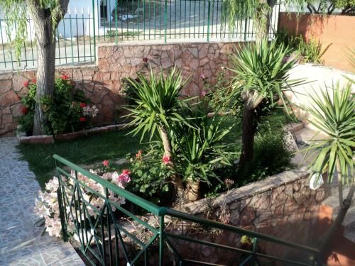 Anastasis Apartments