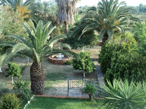 Anastasis Apartments
