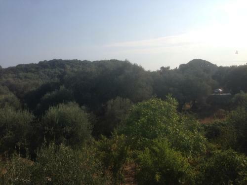 Apartamento Athina Studios