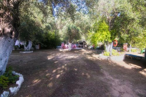 Apartamento Athina Studios