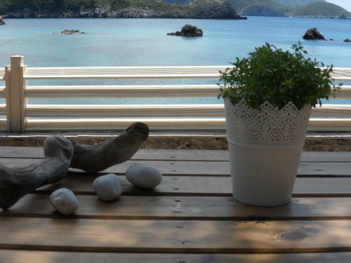 Apartamento Kalypso Studio