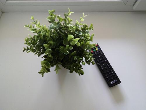 Apartamento ???????????????? 26-22/2