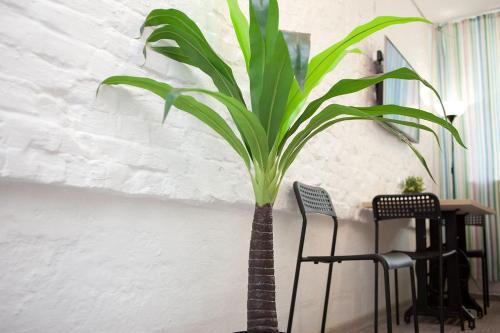 Apartamento ????? ?????? 14/1-33-2