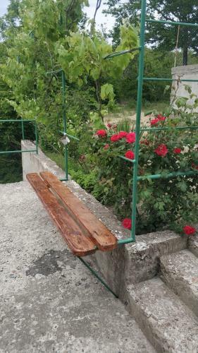 Hostal Guest House Natali