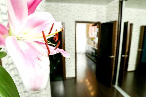 Apartamento Sweethome55 ??????????? 101